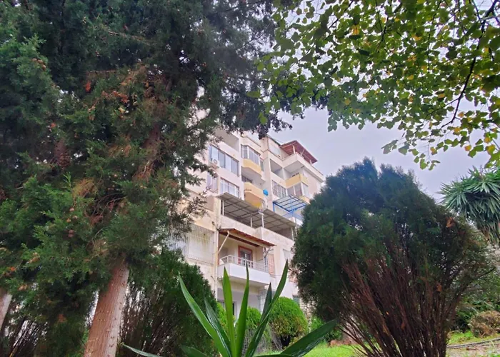 - Steps From The * Saranda